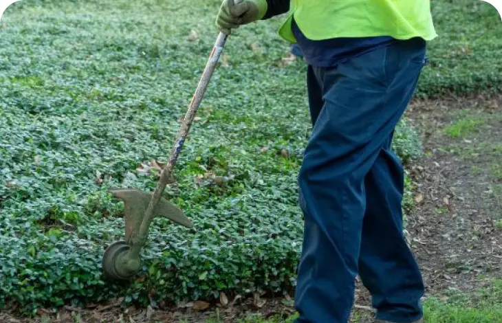 Person using a garden tiller in a green field.
