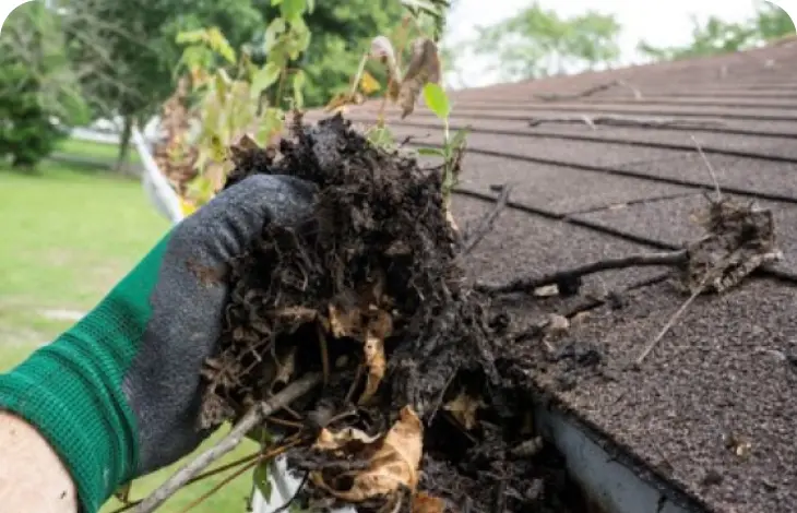 Clogged gutter filled with soil and debris on a roof.